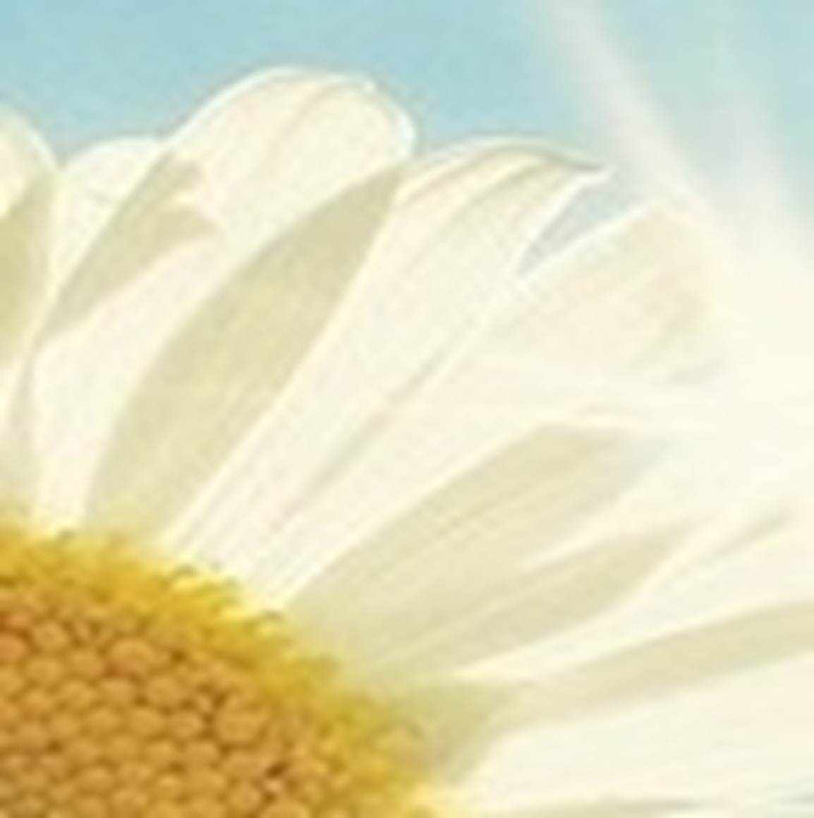 118