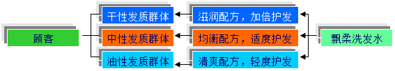 营销活动方案_飘柔洗发水营销策划方案_飘柔洗发水市场分析